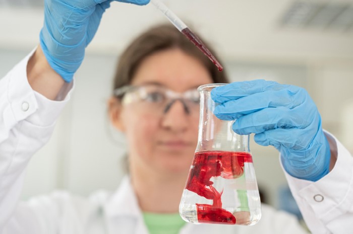 Eine Wissenschaftlerin hält einen Becher voller roter Flüssigkeit in der Hand.